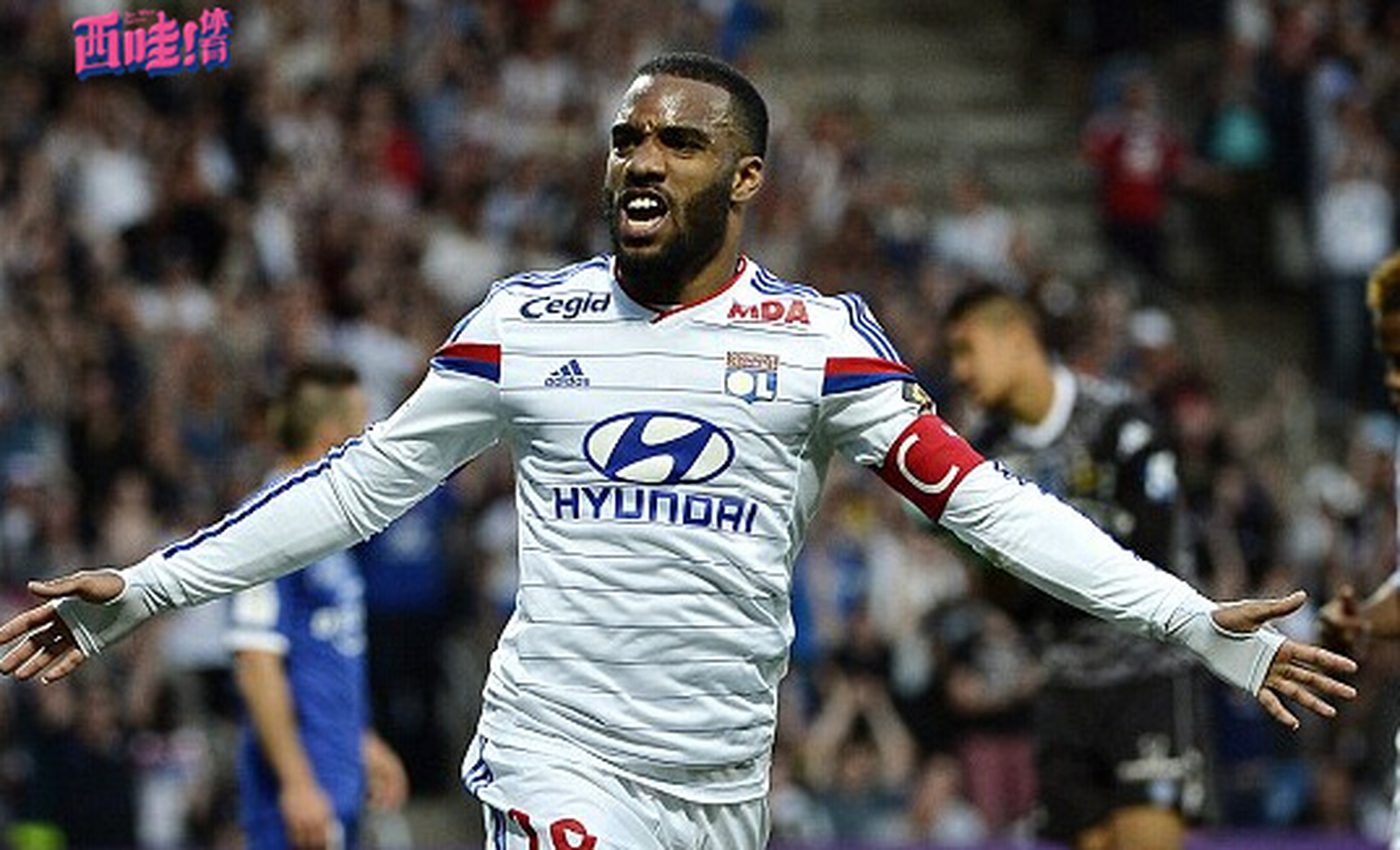 从奥兰多魔术清晨完成体检到转会期里昂调整名单以备意大利杯，本菲卡今晚遗憾出局的简单介绍